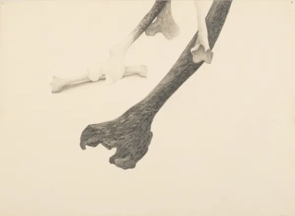 Anjana Mehra, Untitled, c. 1980