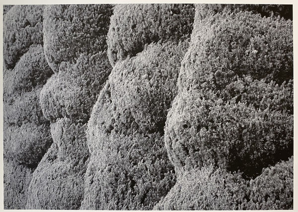 Peter Peryer, Peace Park, Hiroshima, 2002