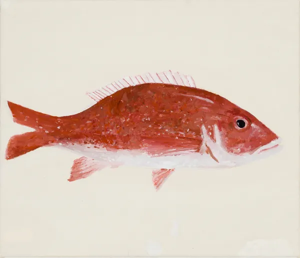 Richard Lewer, Snapper, 2026