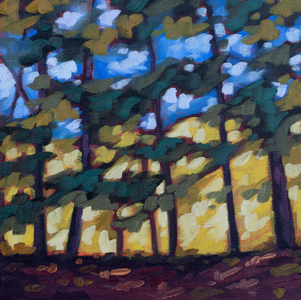 Kerry Walford, Through the Trees (Bronte Creek Provincial Park)