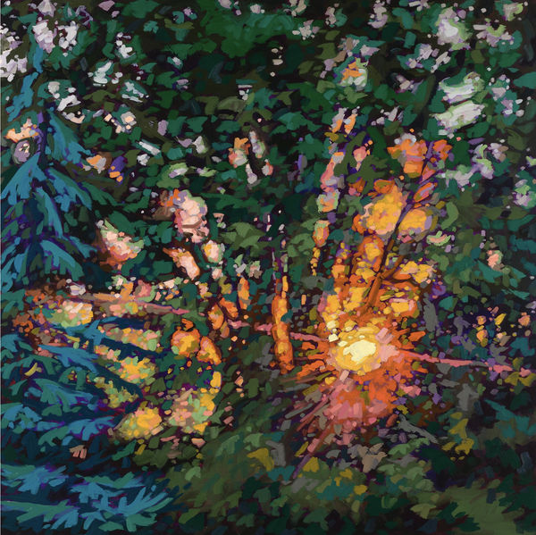 Kerry Walford, Summer Glow