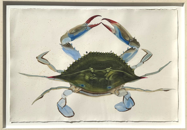Scott Kelley, Blue Crab (for Stuart Lester), 2025
