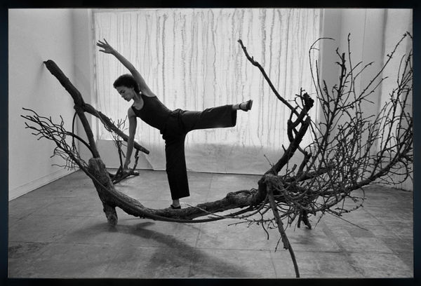 MAREN HASSINGER, Tree Duet I, 5617 San Vicente Blvd, Los Angeles, c. 1977/2021.