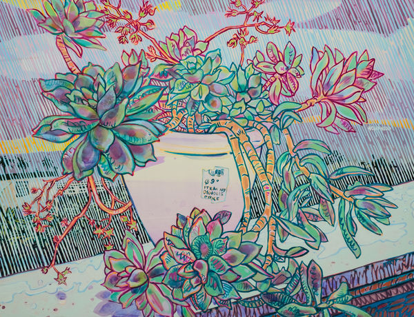 Rainy Day in Echo Lake/Spring