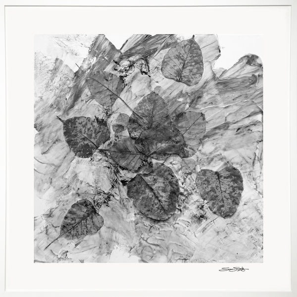 Changing Seasons 1 (B&W 1)