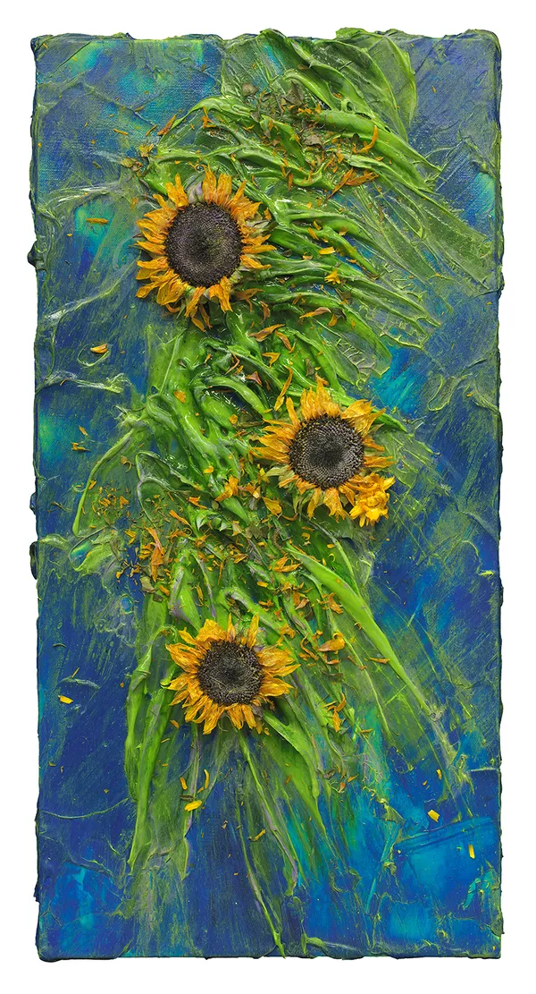 Sunflowers 25, 2025 24 x 12 in 61 x 30.5 cm