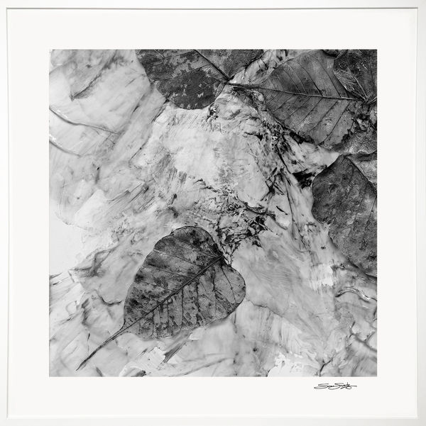 Changing Seasons 1 (B&W 4)