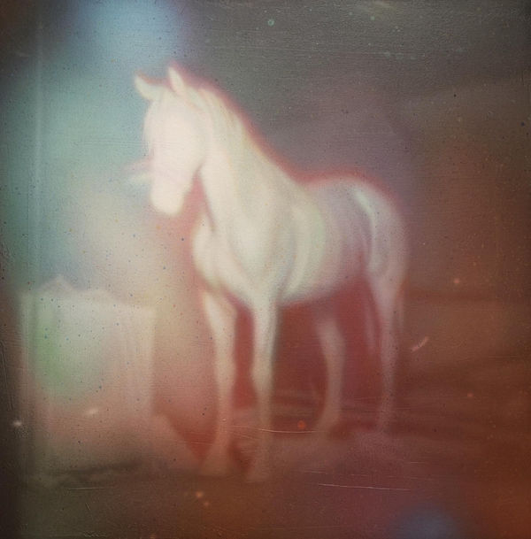 Long Dream No.2, 2024