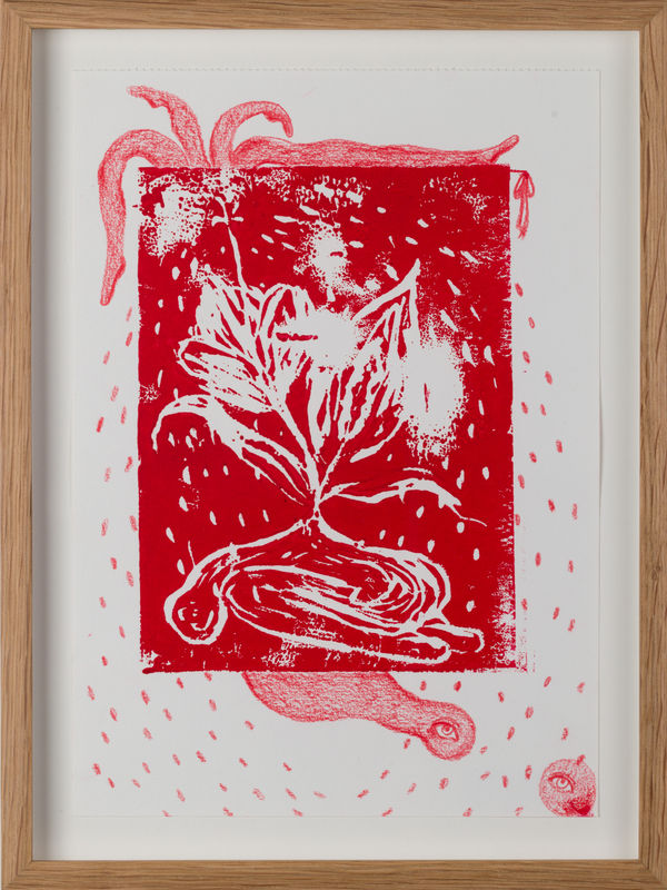 Alymamah Rashed, My Reds Will Grow A Strawberry Field #6, 2024