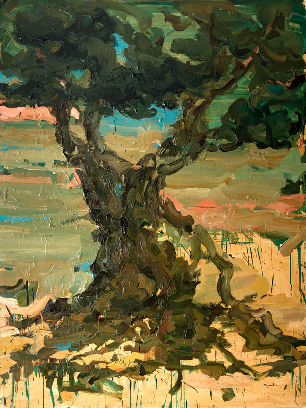 Tagreed Darghouth, From "The Tree Within; A Palestinian Olive Tree" series, 2024