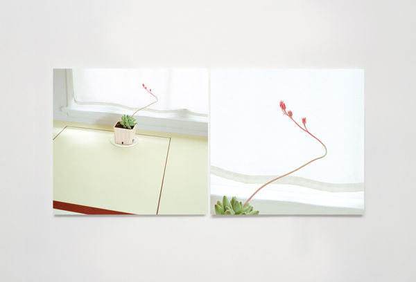 Uta BARTH Untitled (05.5)