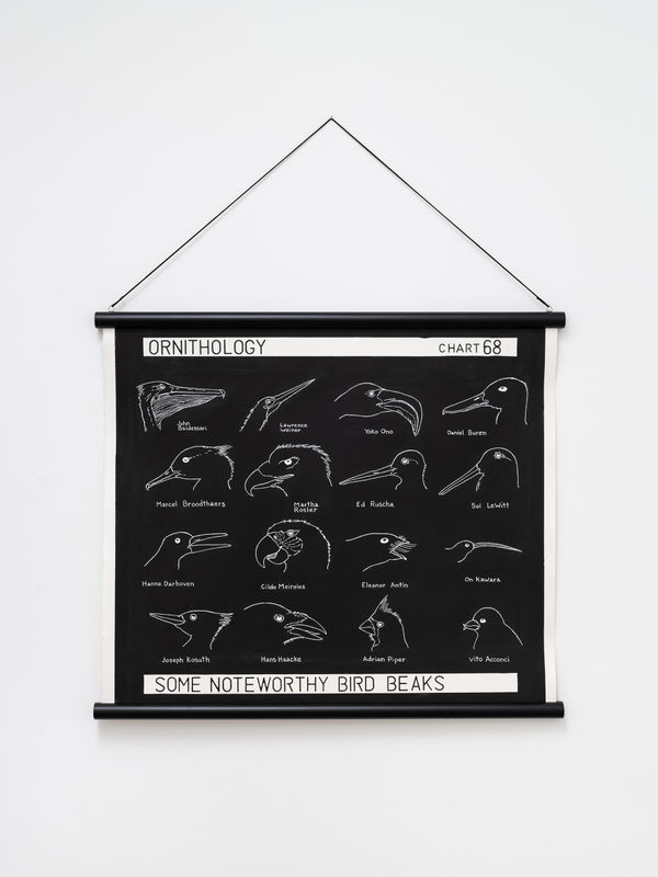 Image of Some Noteworthy Bird Beaks