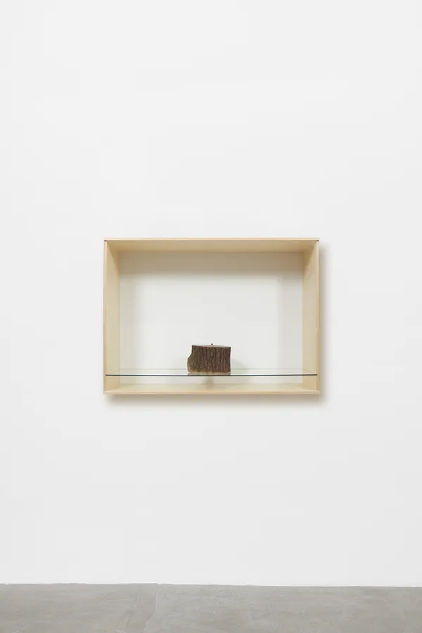 Haim Steinbach Baltic Birch plywood in plastic laminate and glass box attached to the wall