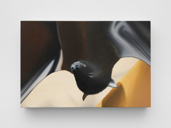 Image of stars around this beautiful moon (5).