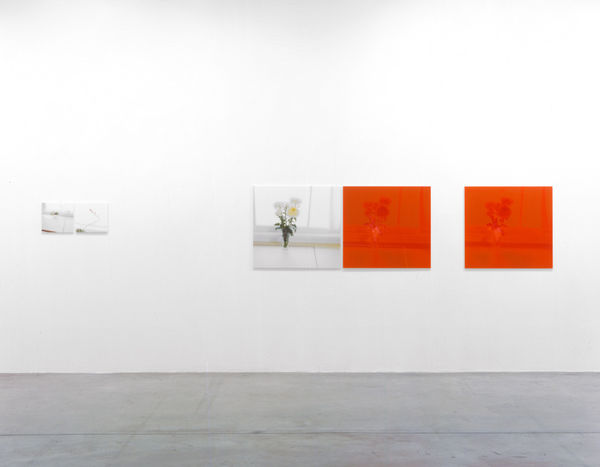Installation view Tanya Bonakdar Gallery