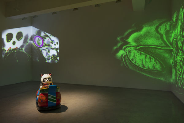 Image of The Tender Rider