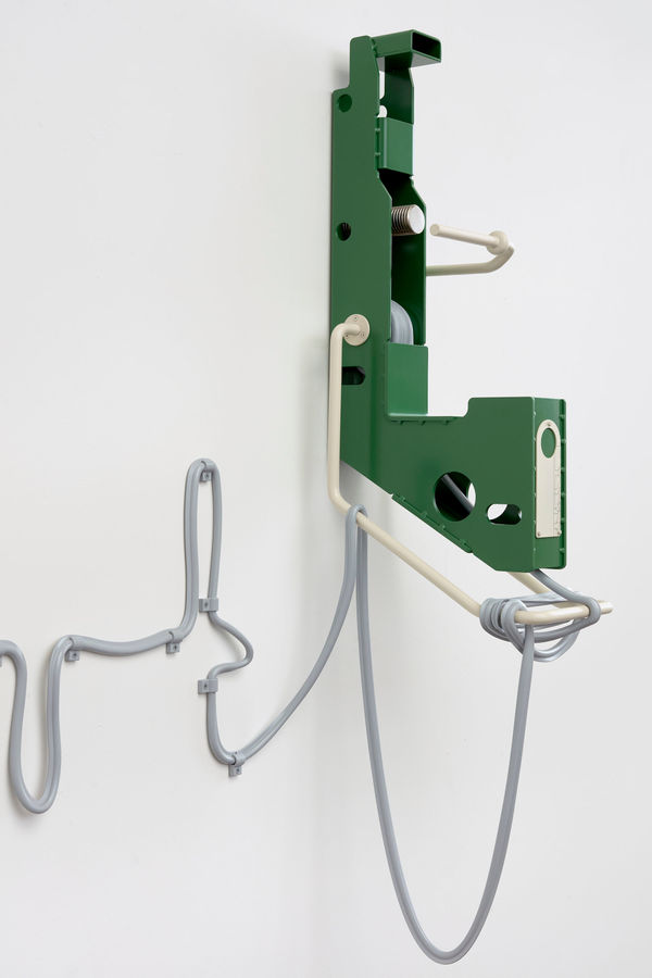 Image of Beetle (North).