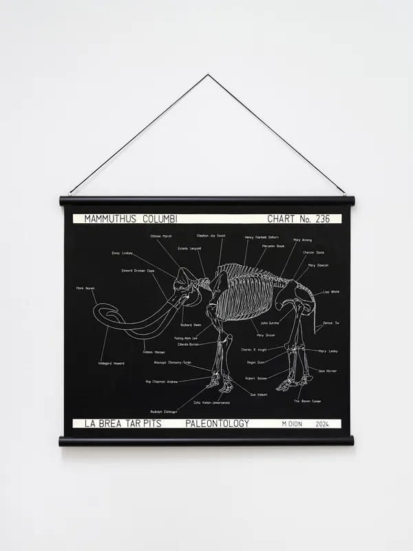 Image of Mammuthus columbi.