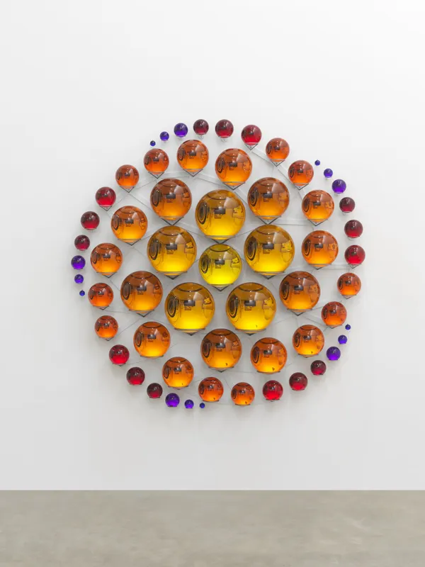 Image of The fivefold memory of the colour mantra