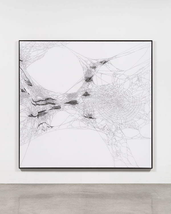 Image of Handwoven spider map