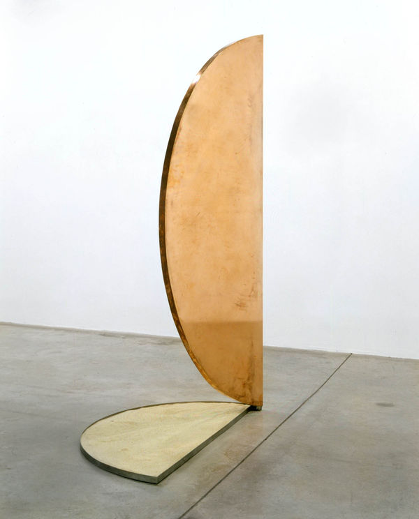 Untitled Forcefield (copper door)
