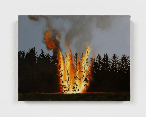 Image of Forest fire