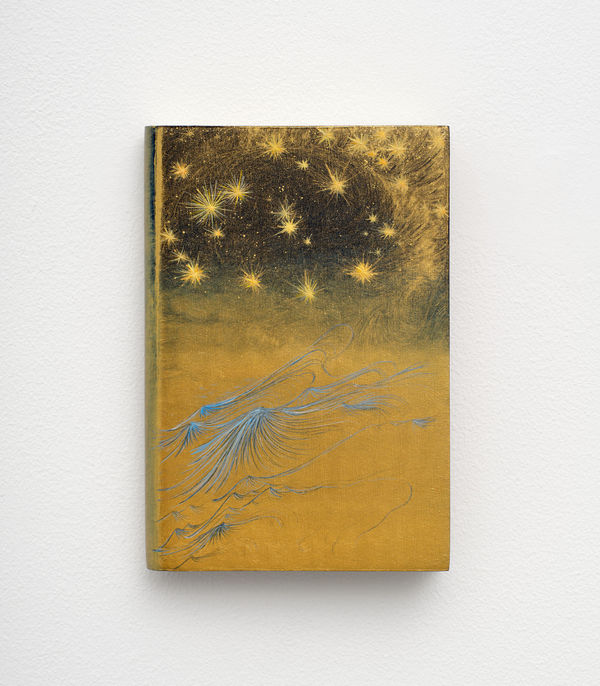 Image of Poem for the Stars .