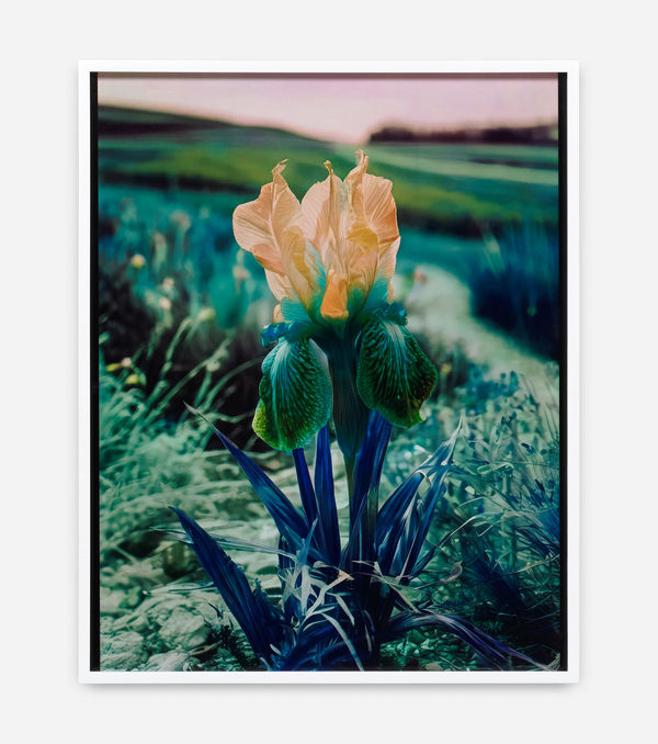 Image of Mlle Steichen, Version X.