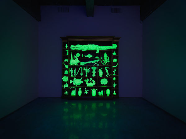 The Phantom Museum (Wonder Workshop)