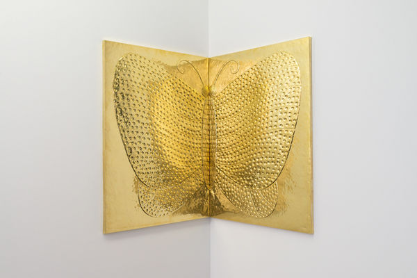 Iamge of Nothing is Solid. Nothing can be held in my hand for too long. (Butterfly).