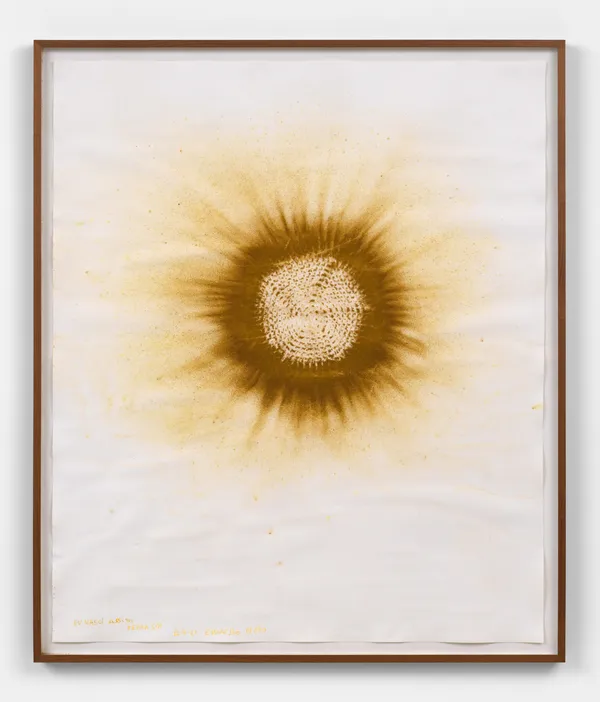 Image of Eu nasci assim Terra Sol