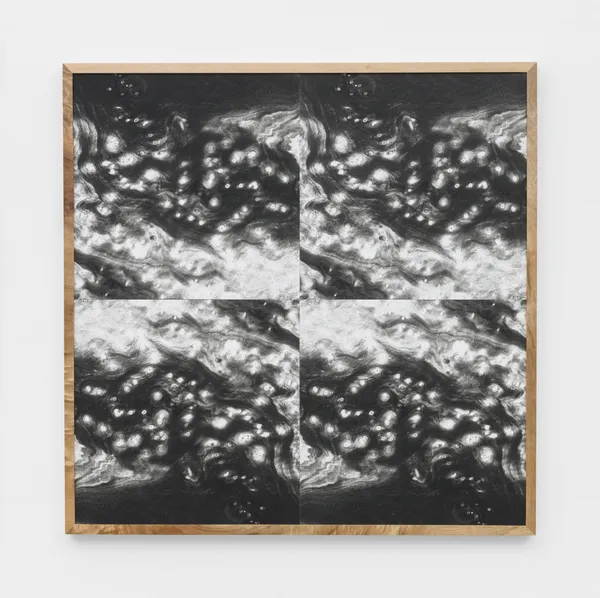 Lisa Oppenheim Landscape Portraits (Camphor) (Version V) 2020 Tiled silver gelatin photograms in Camphor frames 22 x 22 inches; 56 x 56 cm (unframed) 22 5/8 x 22 5/8 x 1 3/8 inches; 57.5 x 57.5 x 3.5 cm (framed)