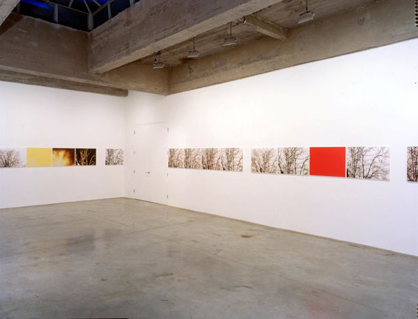 Installation view Tanya Bonakdar Gallery