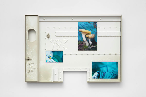 Image of Vanilla Flies (Knaves).