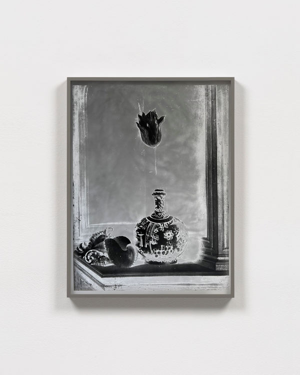 Image of Lisa Oppehiem work of Stilleben: Still Life with a Tulip, 1637/2023, Version I