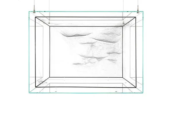 Image of spider box.