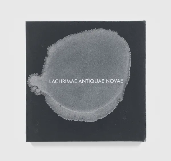 Image of Lachrimae Antiquae VIII