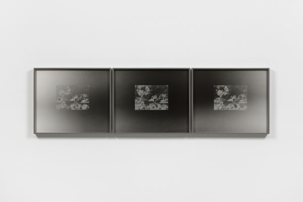 Image of Stilleben mit Früchten, totem Geflügel, Gemüse und Meerschweinchen, 1942/2022