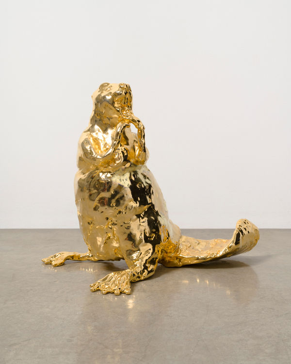 Image of Possibilities Untouched by the Mind.