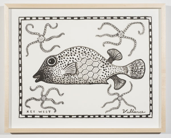 Key West Honeycomb Cowfish with Long-legged Starfish