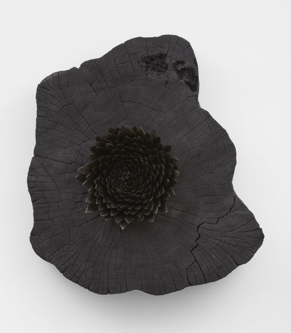 Image of Hrafntinnublómstur (Obsidian bloom) 1