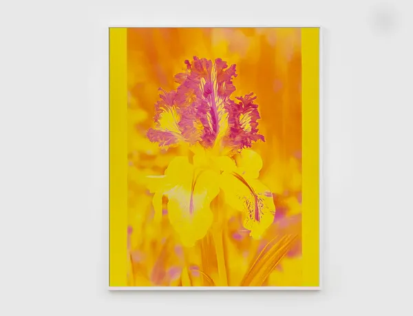 Image of Mons. Steichen II.