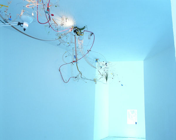 Capricious Invention of Prisons