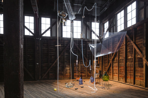 Installation view of the 23rd Biennale of Sydney, 2022.