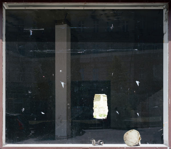 Ohne Titel (Gegenlicht) / Untitled (Backlight)