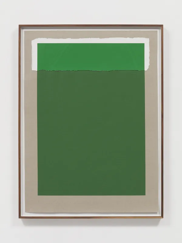 analia saban green print