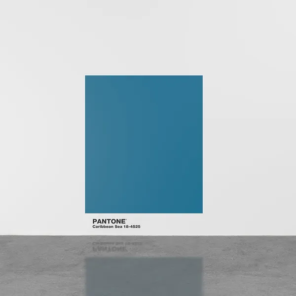 Vinyl text and acrylic paint on wall