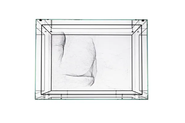 Image of Saraceno spider box.