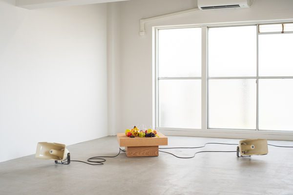 Installation view of “Art & New Ecology,” The 5th Floor, Tokyo, 2022