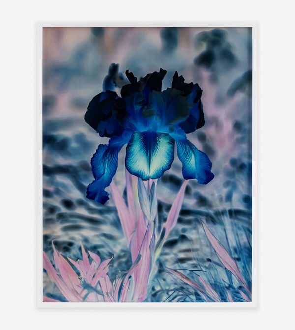 Frau Steichen Version II